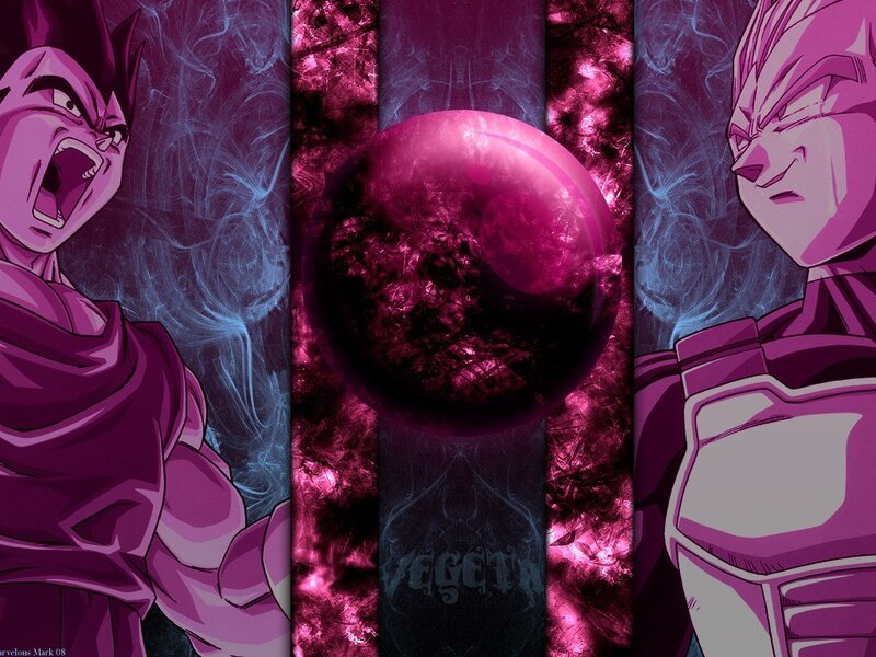 Vegeta battle art