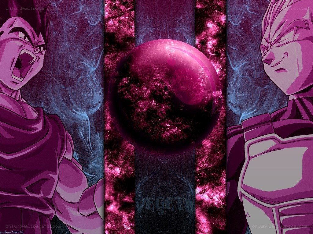 Vegeta battle art