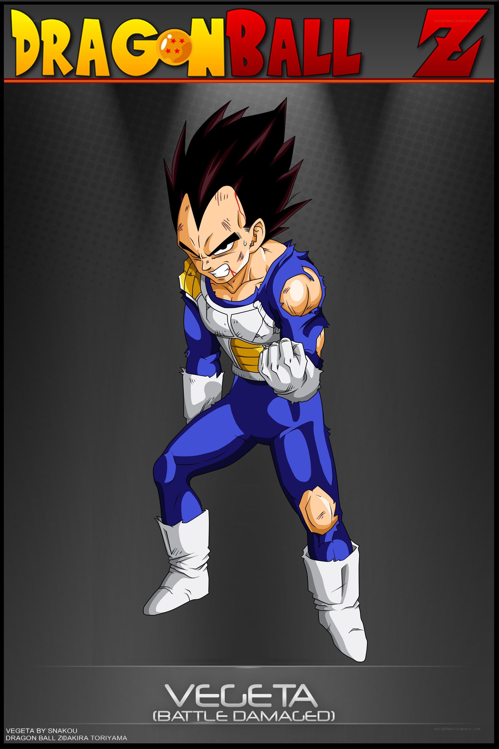 Vegeta battle damaged