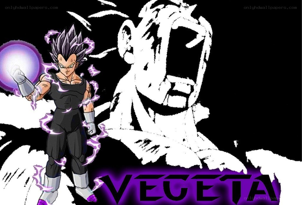 Vegeta character art