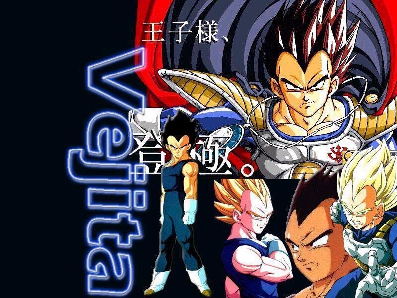 Vegeta Character Collage — Black
