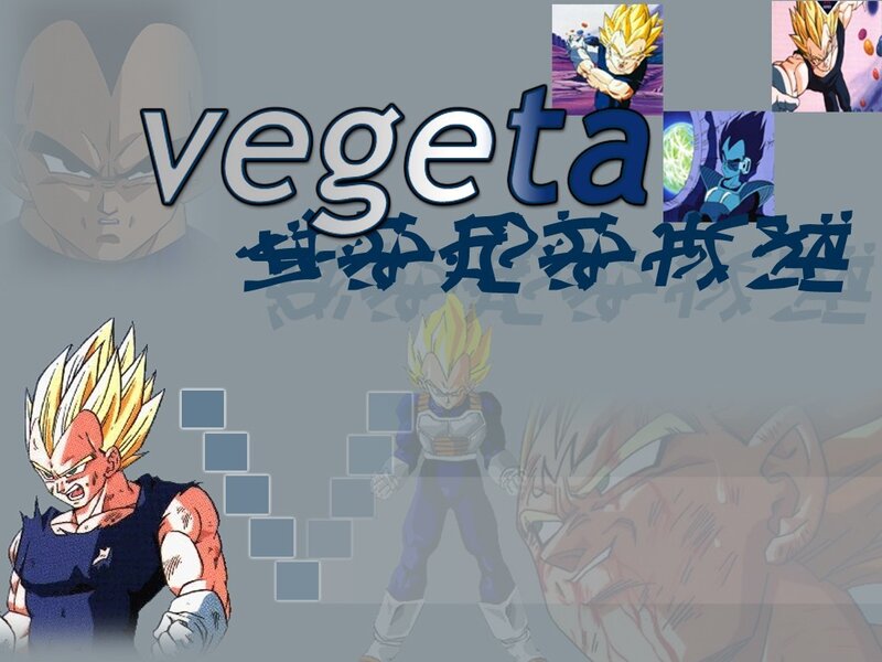 Vegeta Character Collage — Gray