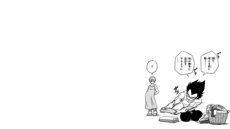 Vegeta Folding Laundry