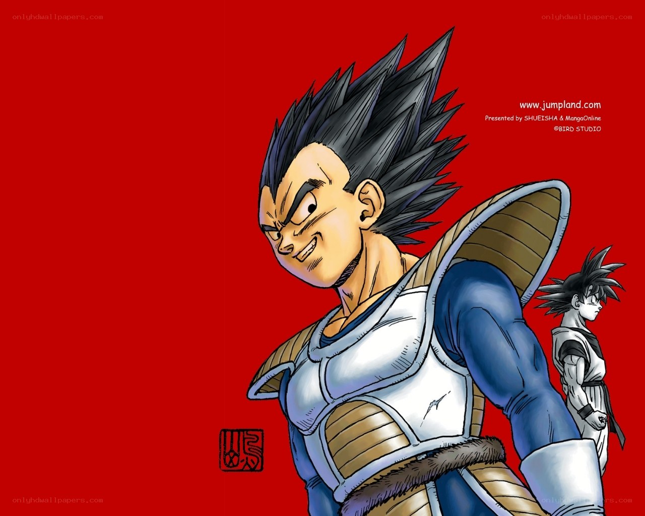 Vegeta from Dragon Ball Z