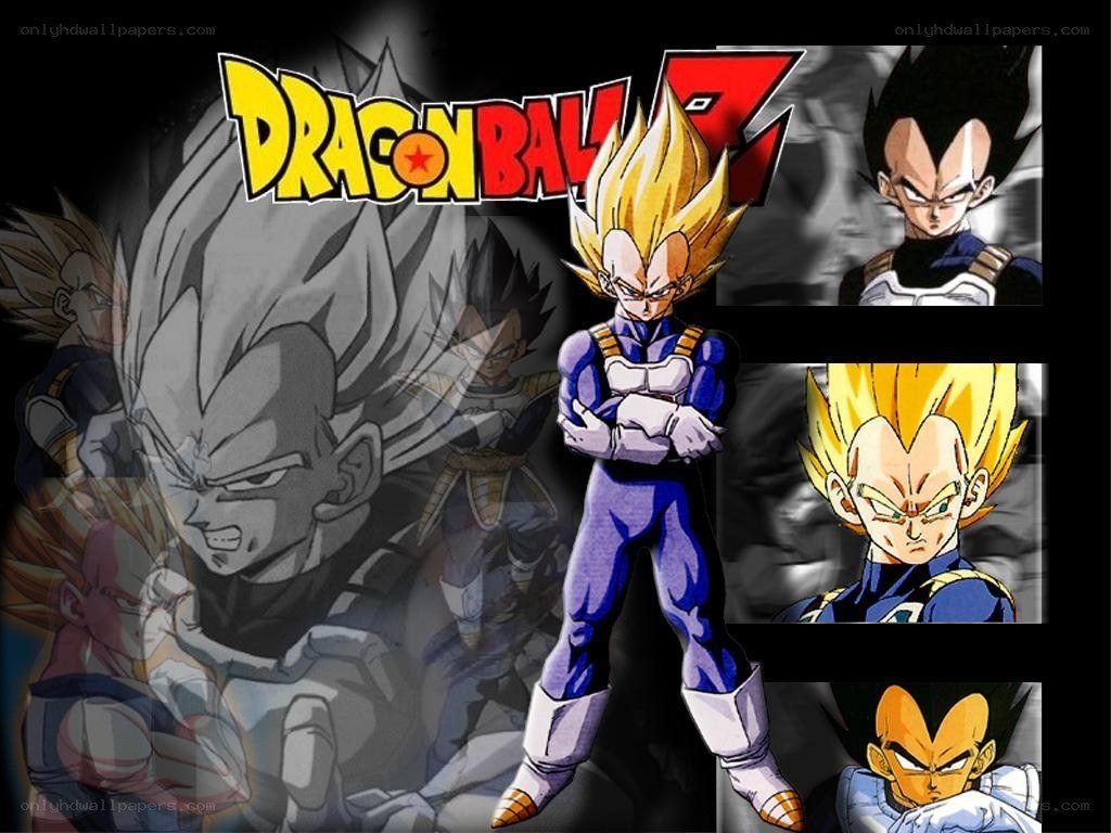Vegeta from Dragon Ball Z