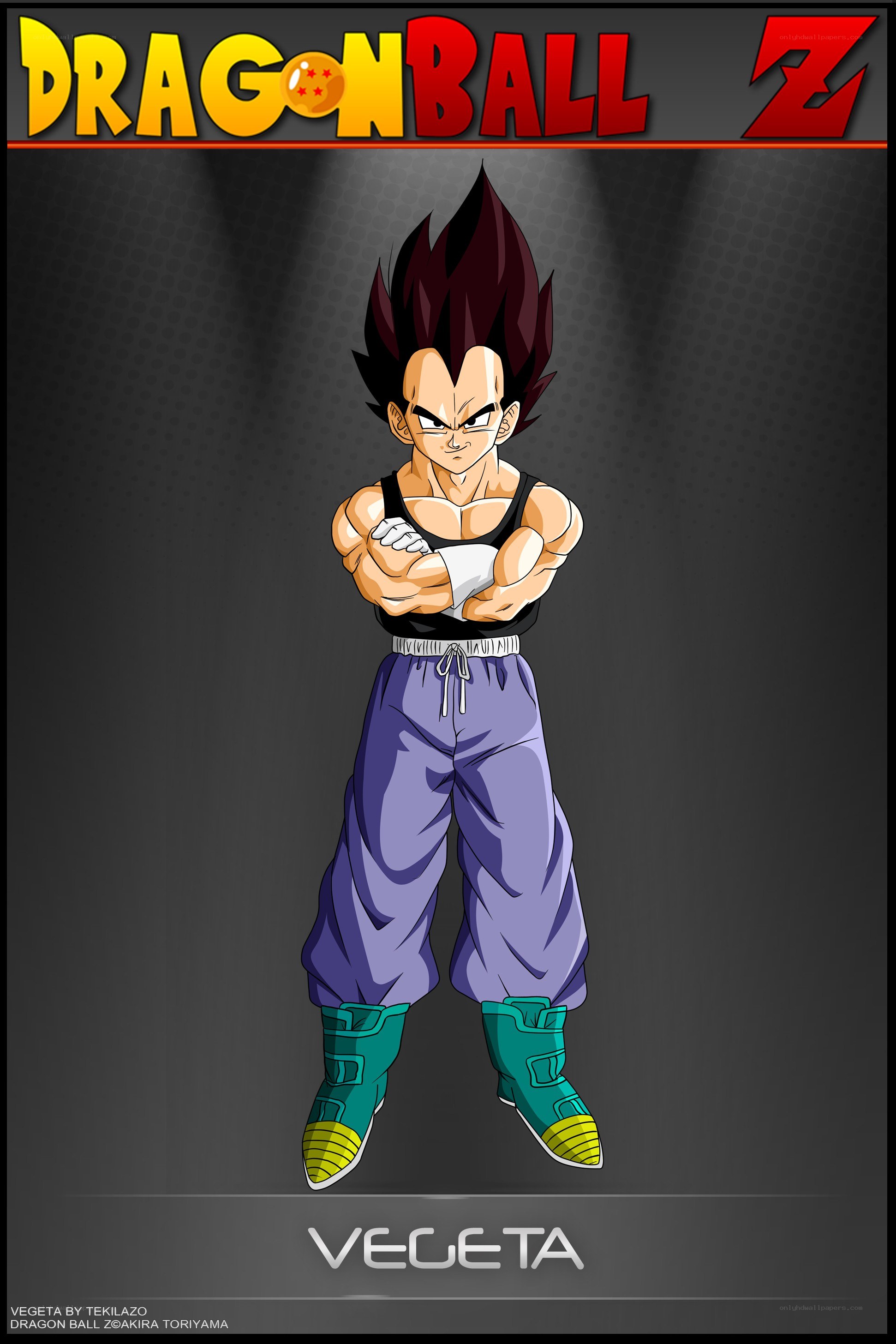 Vegeta from Dragon Ball Z