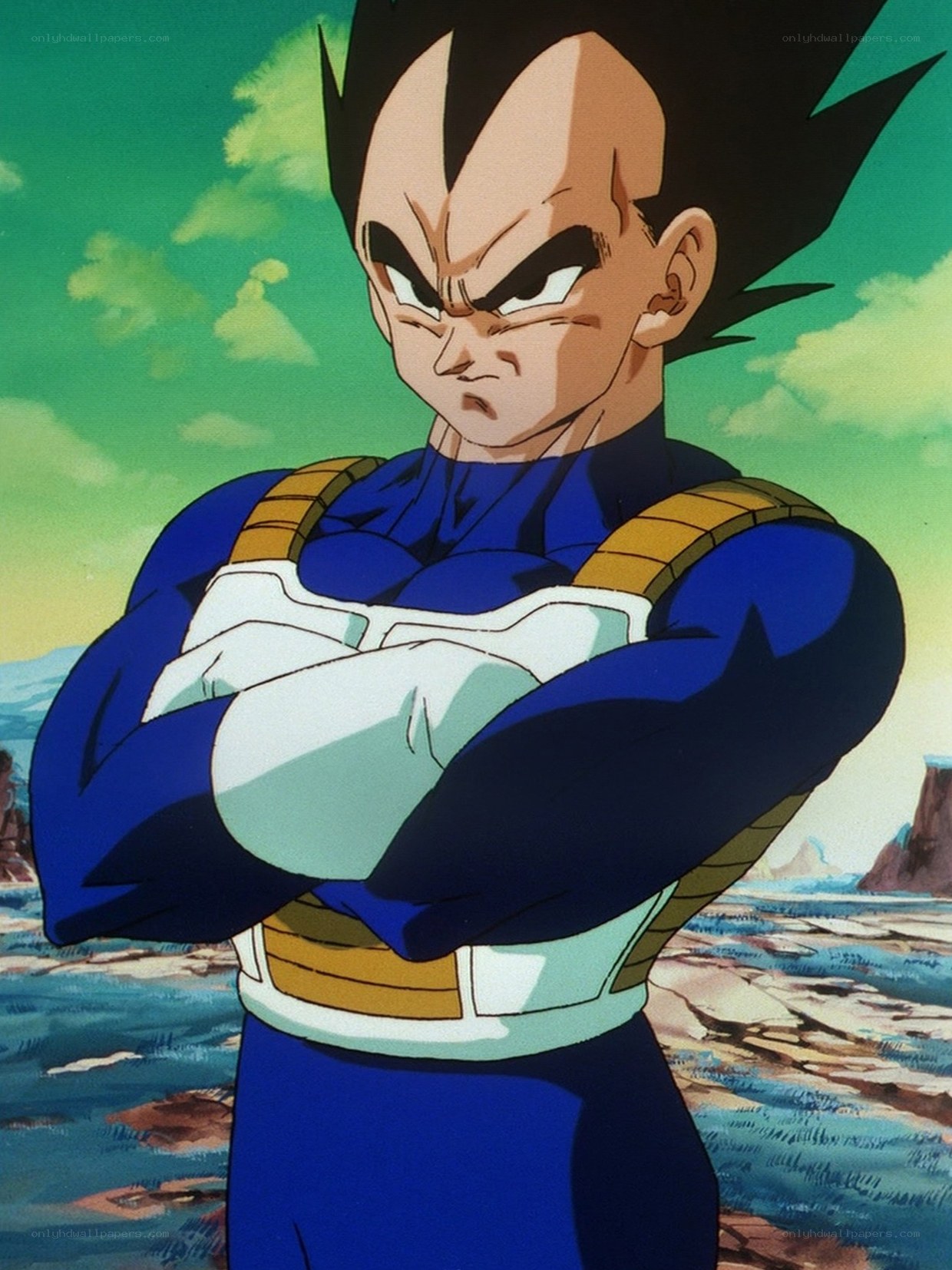 Vegeta from Dragon Ball Z