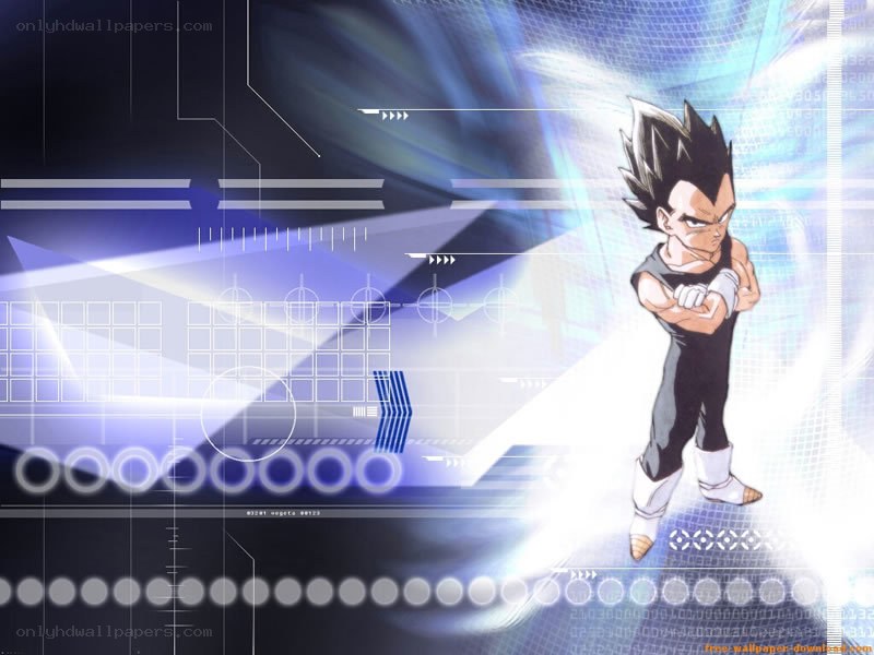 Vegeta in a digital interface