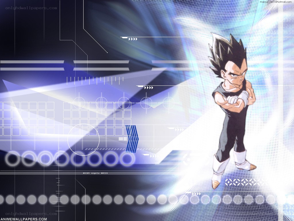 Vegeta in a digital interface