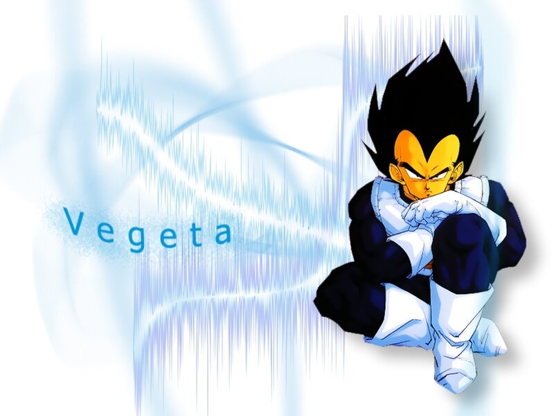 Vegeta in a fighting stance