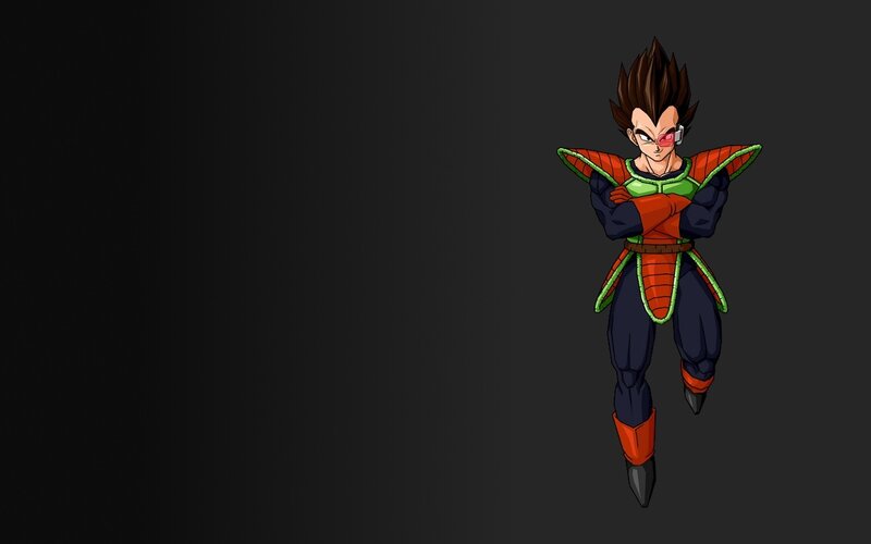Vegeta in Armor — Black, Confident