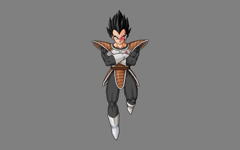Vegeta in Armor — Gray