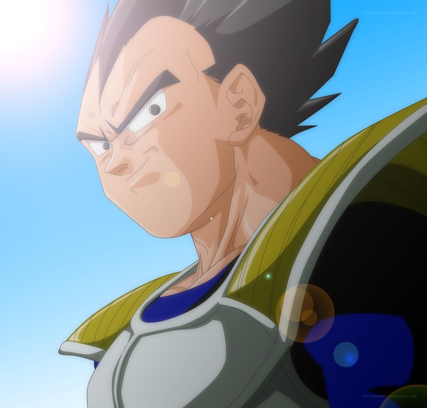 Vegeta in armor