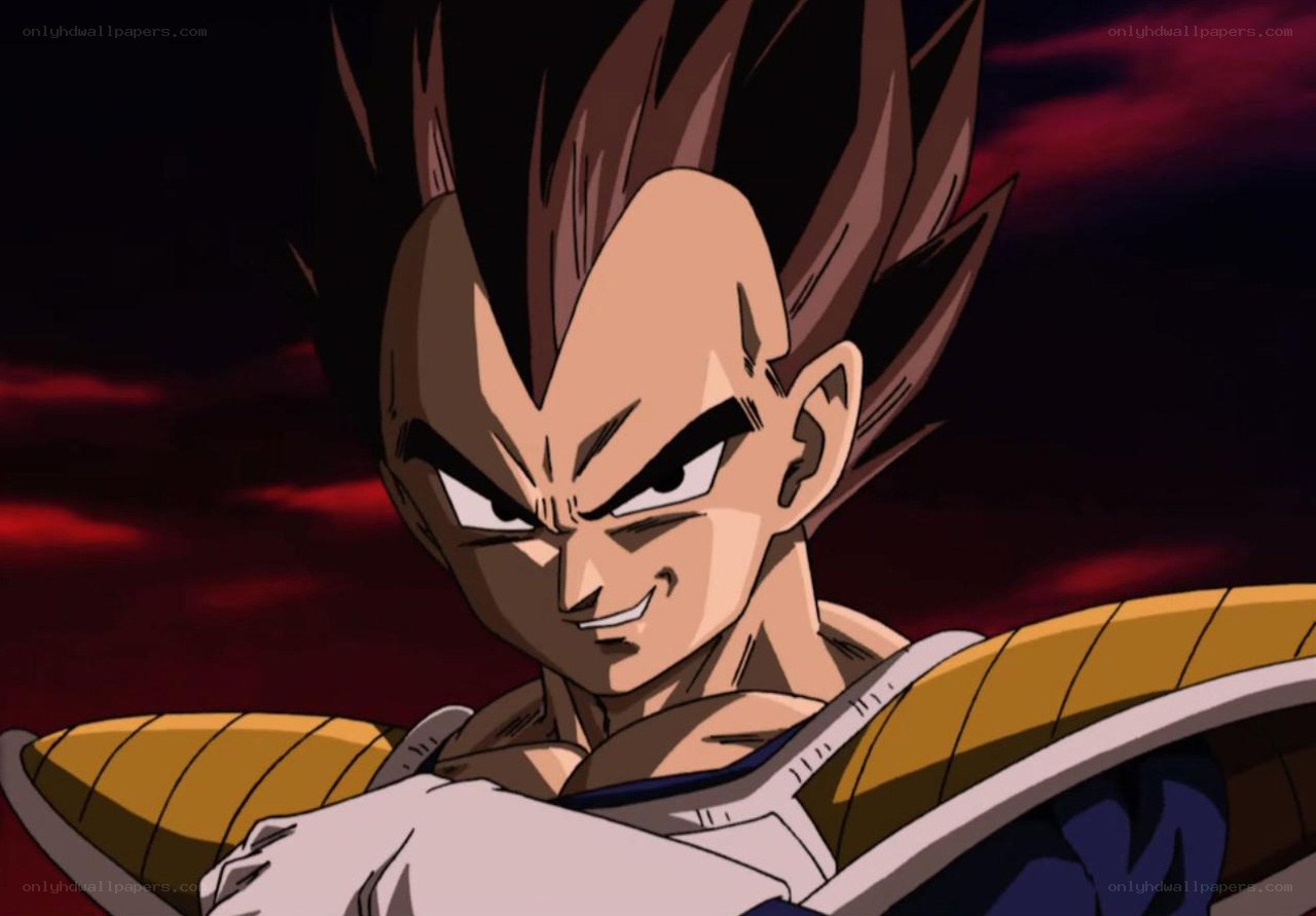 Vegeta in battle stance