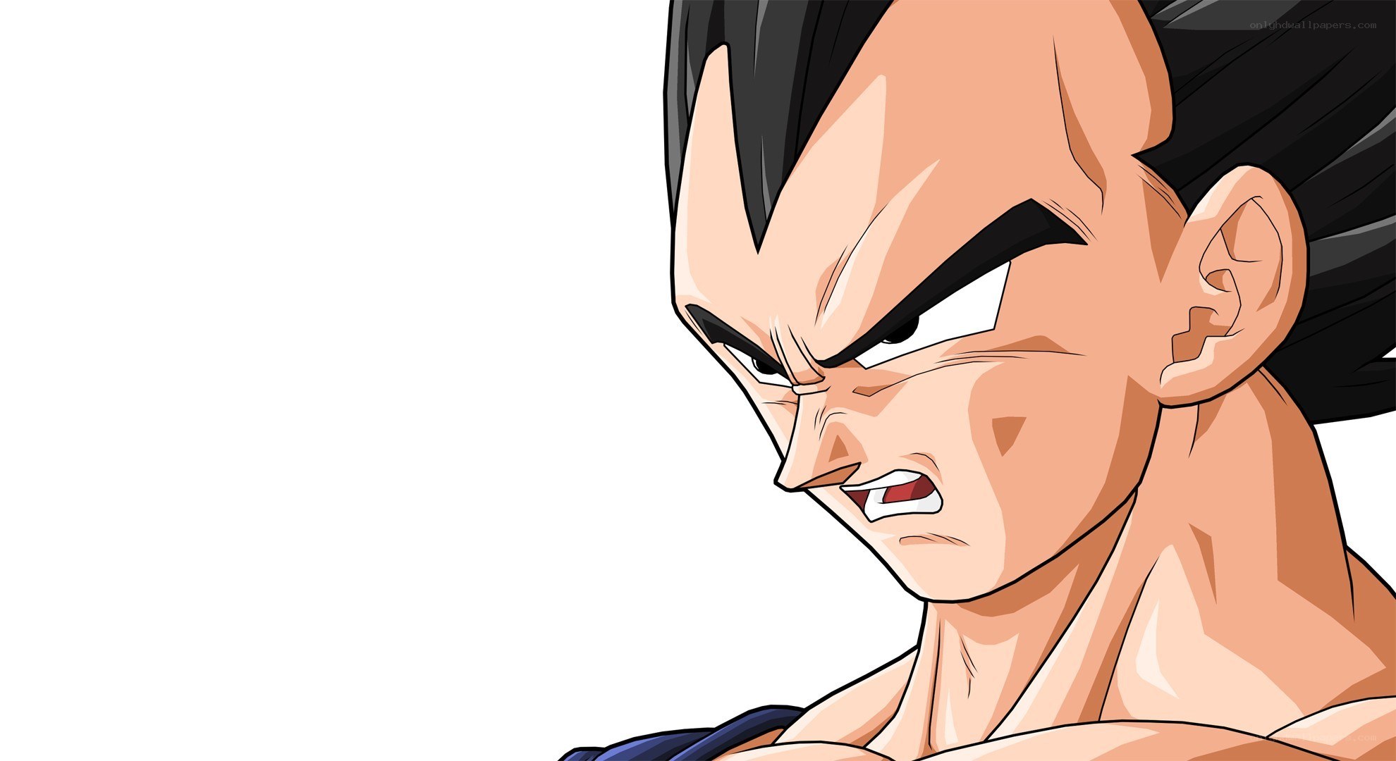 Vegeta in battle stance