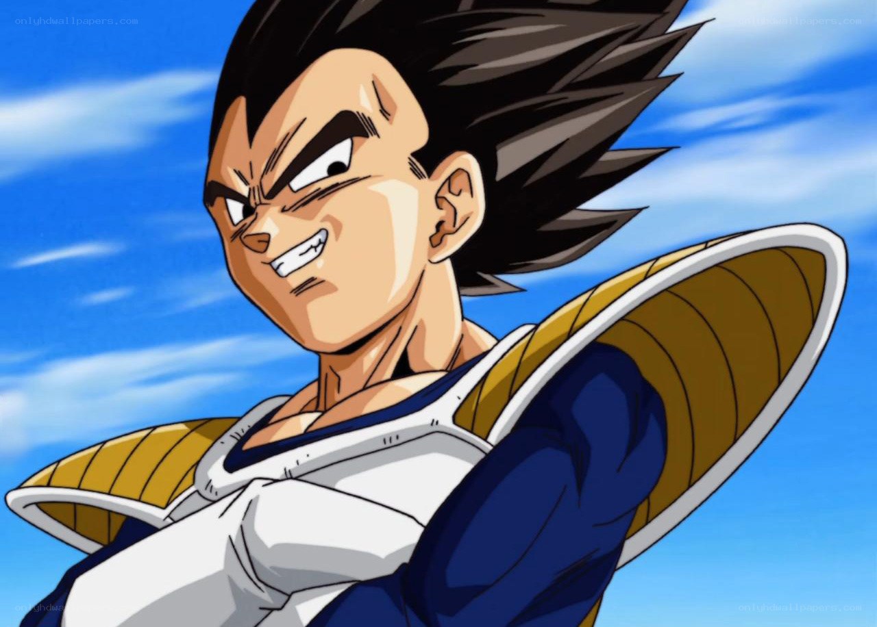 Vegeta in battle stance