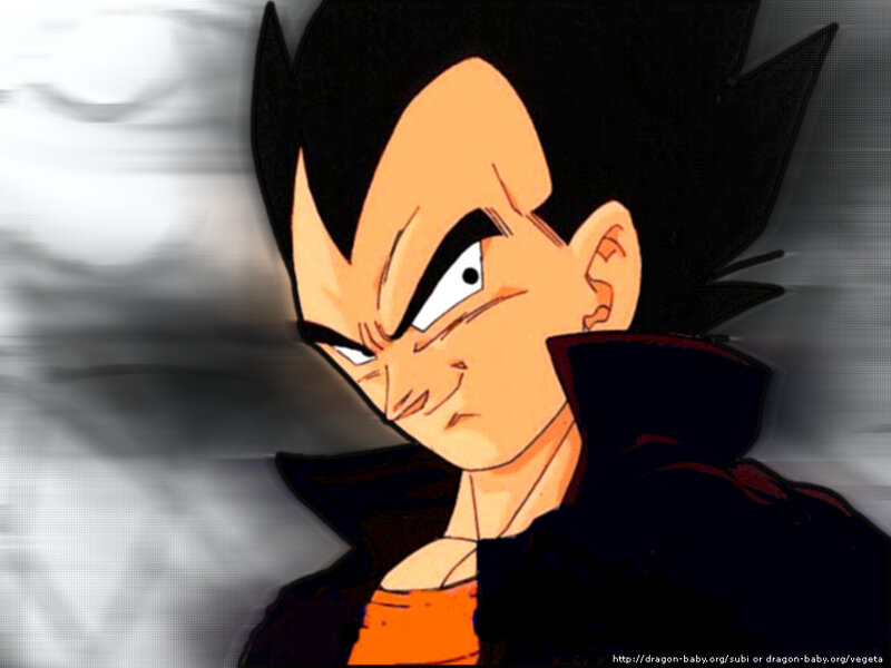 Vegeta in Black Cloak