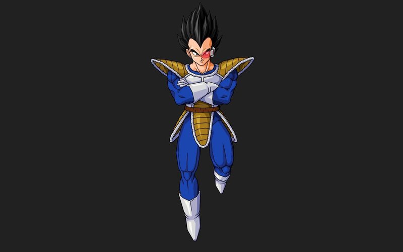 Vegeta in Blue Armor — Confident