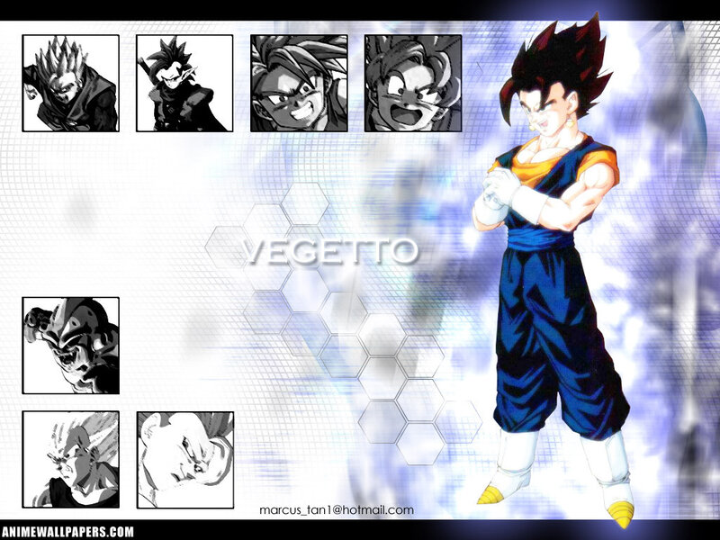 Vegeta in Blue Outfit
