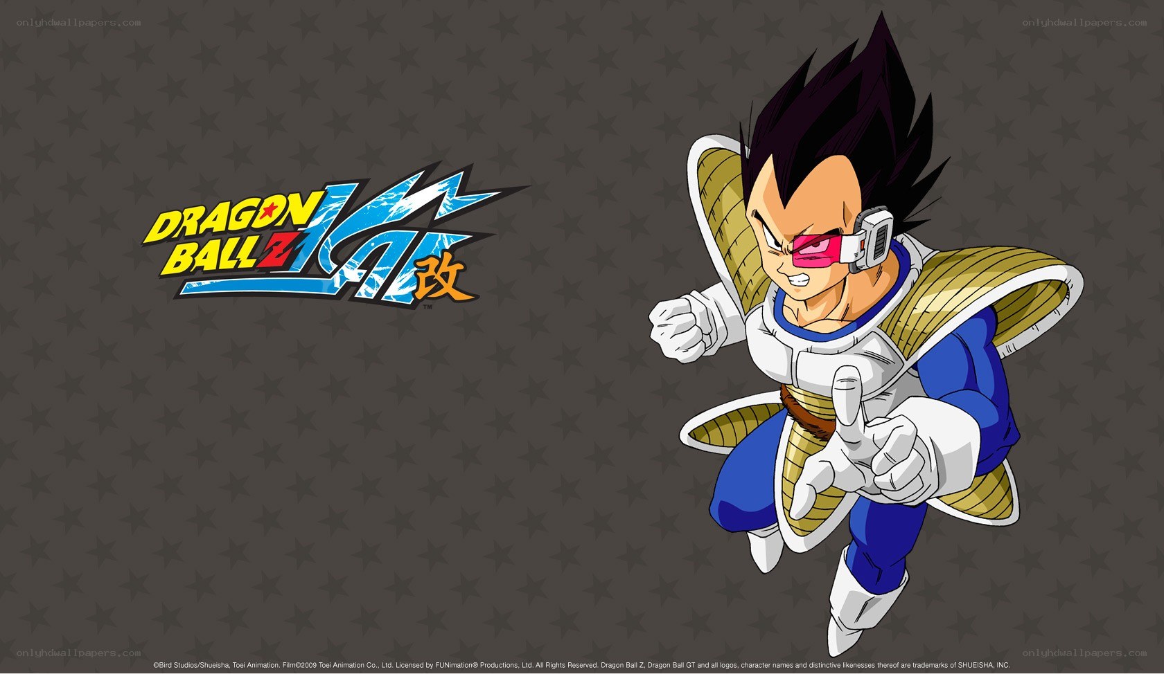 Vegeta in Dragon Ball Z Kai