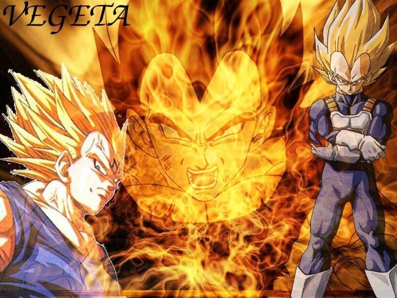Vegeta in flames