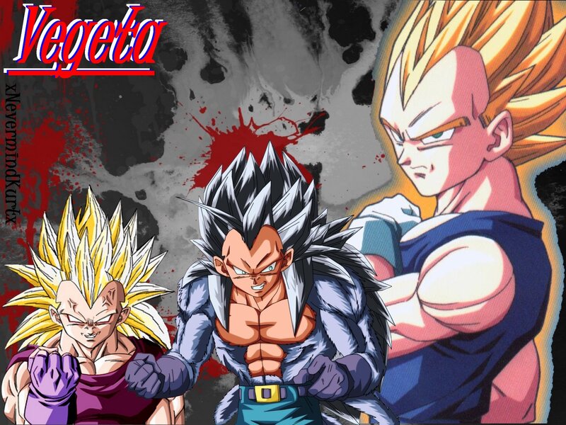Vegeta in multiple forms