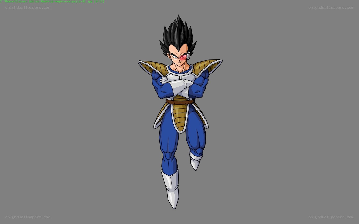 Vegeta in Saiyan armor
