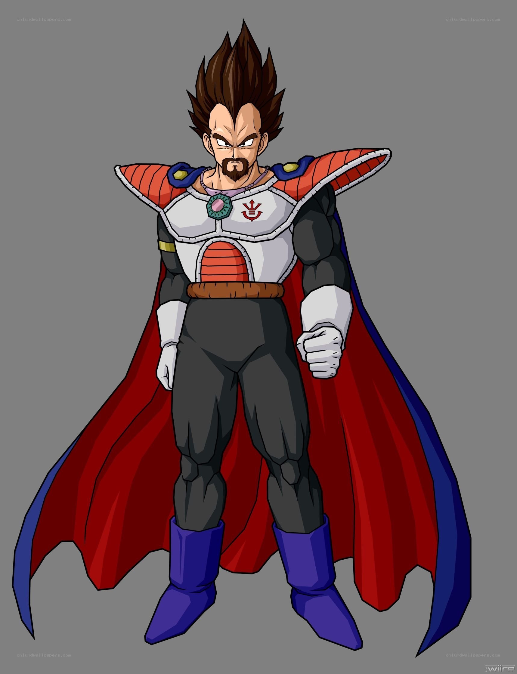 Vegeta in Saiyan armor