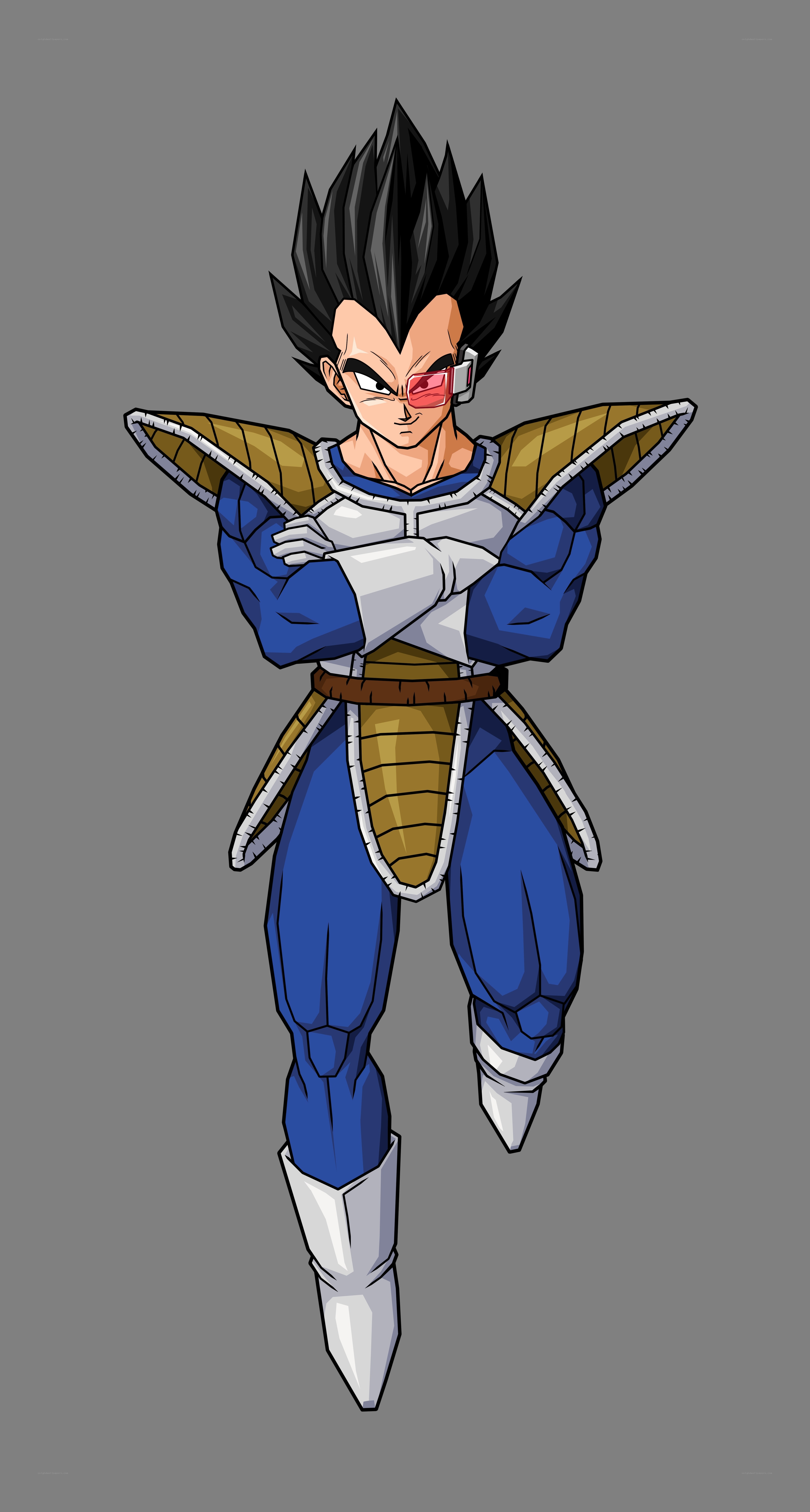 Vegeta in Saiyan armor