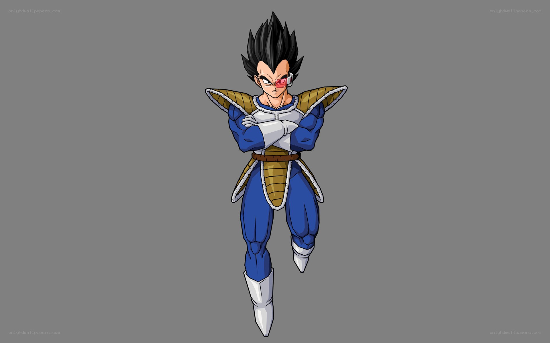 Vegeta in Saiyan armor