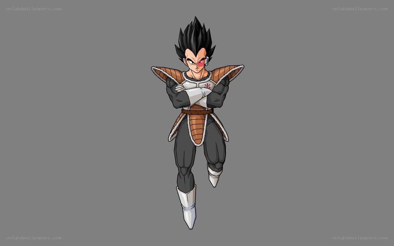 Vegeta in Saiyan armor
