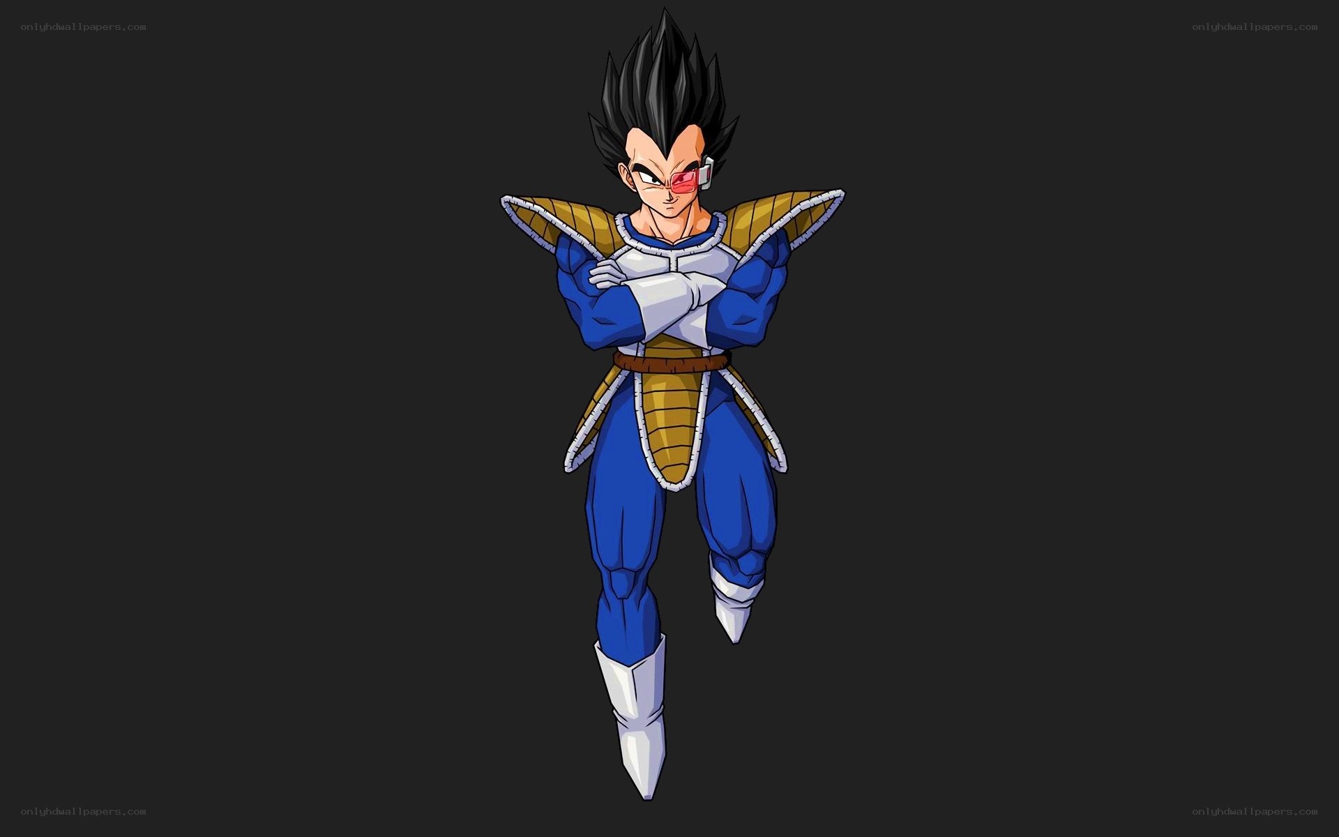 Vegeta in Saiyan armor