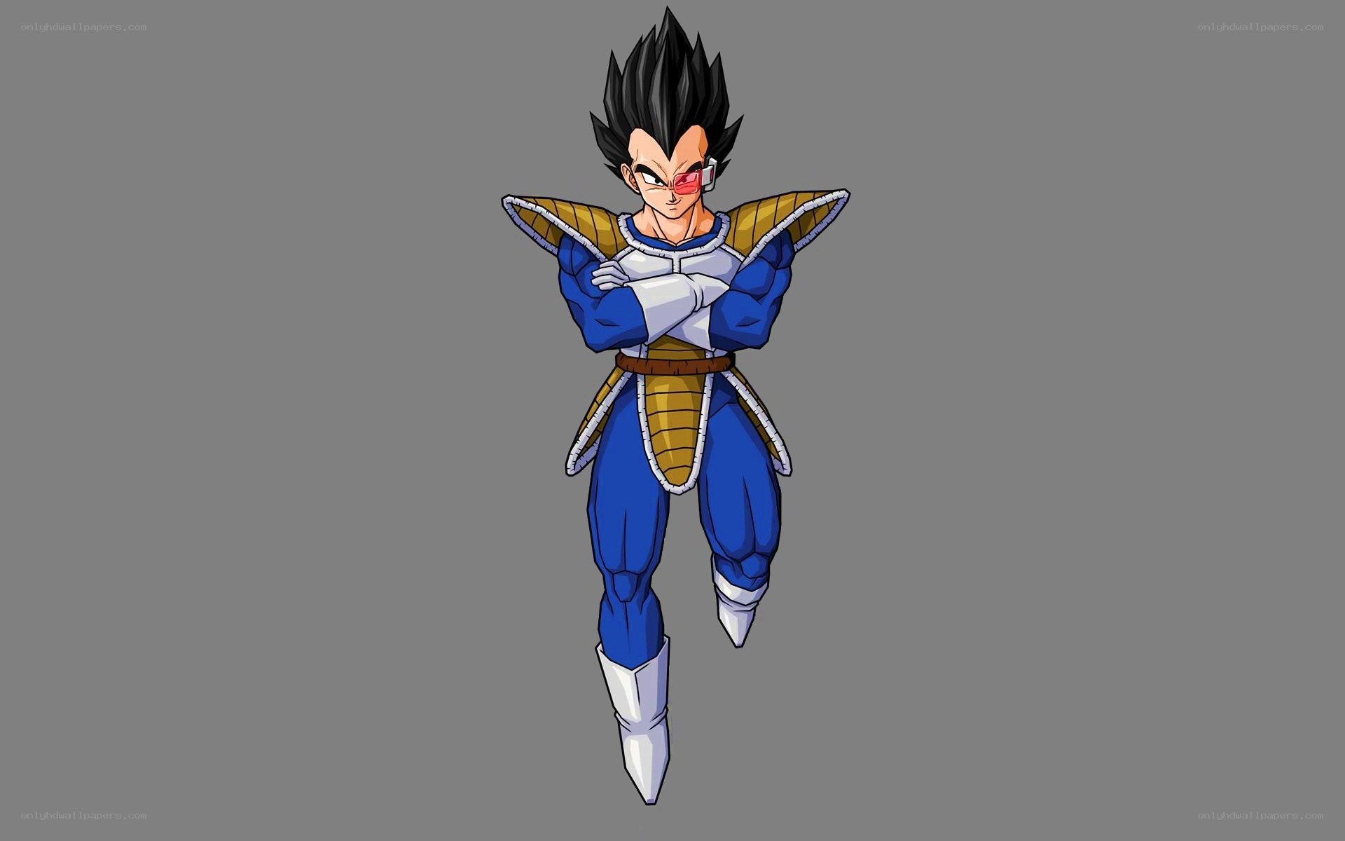 Vegeta in Saiyan armor