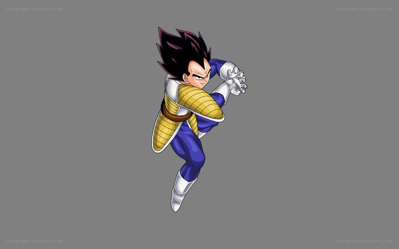 Vegeta in Saiyan armor
