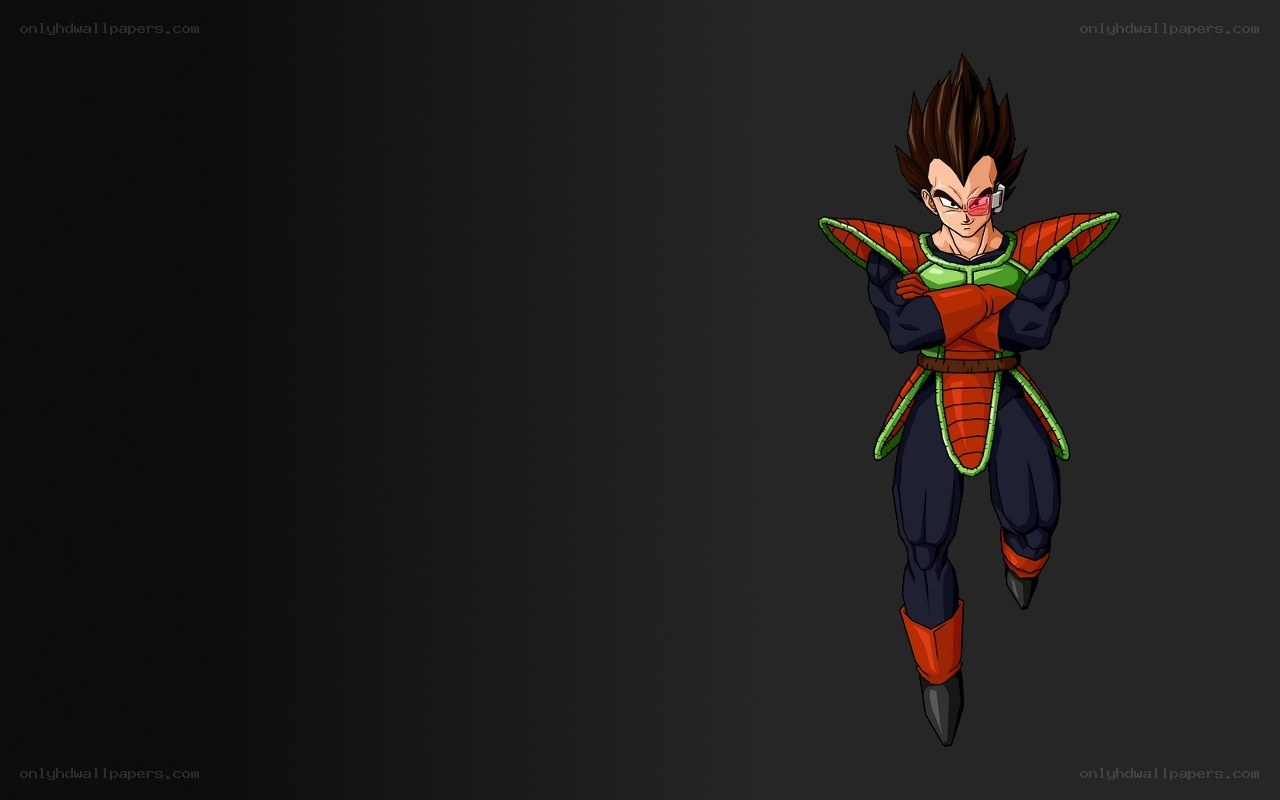 Vegeta in Saiyan armor