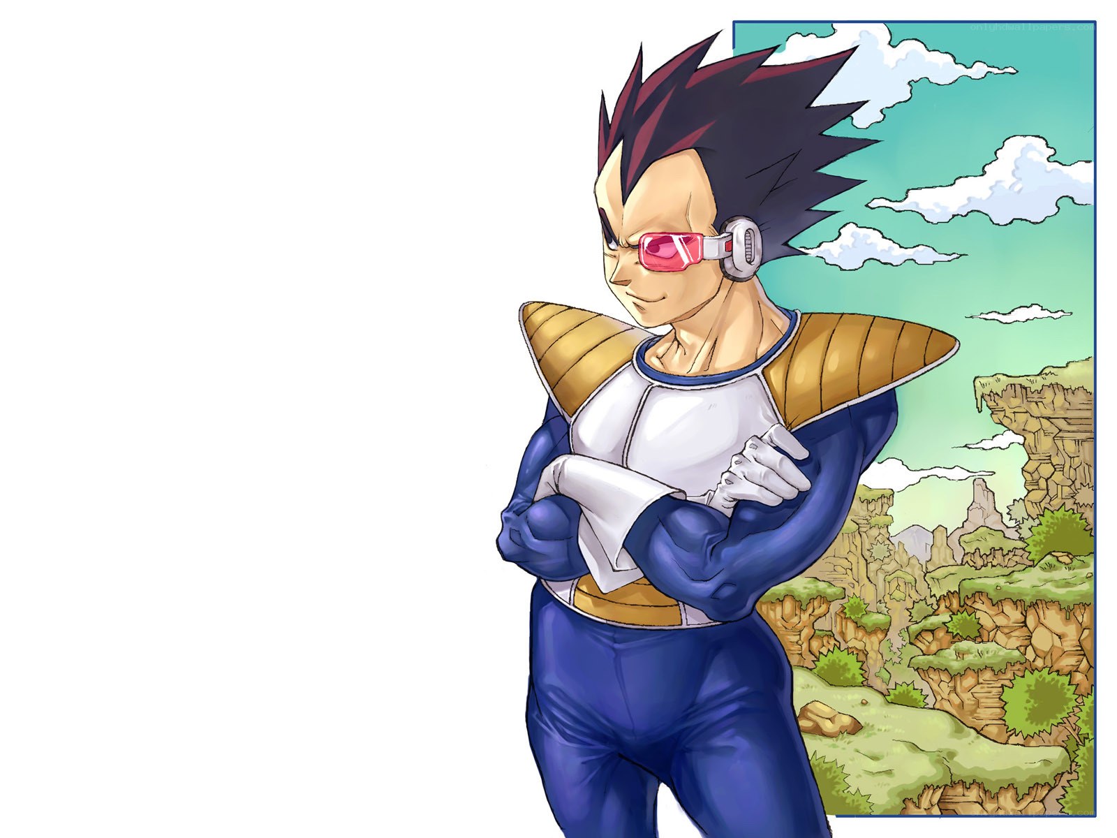 Vegeta in Saiyan armor