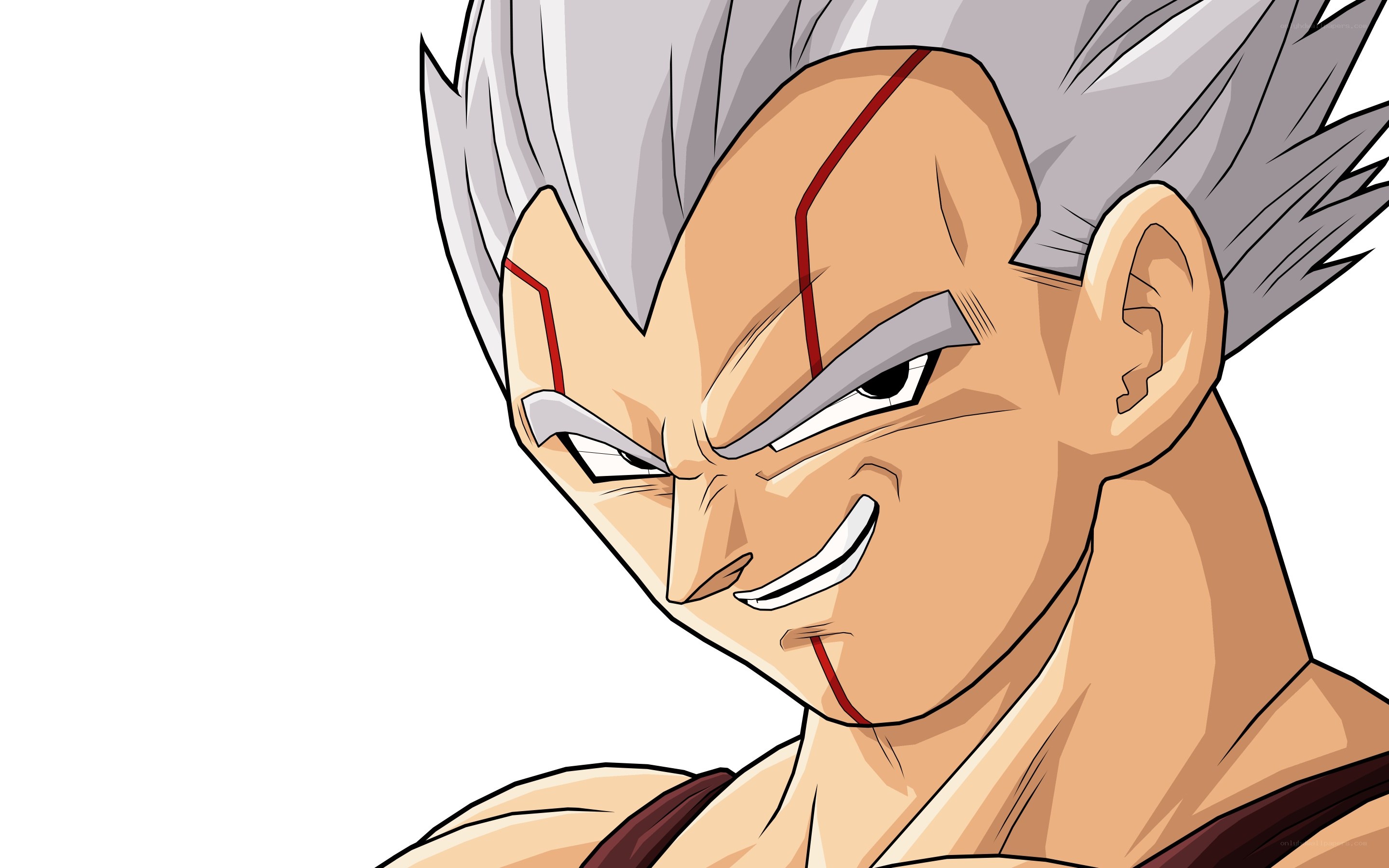 Vegeta in Super Saiyan form