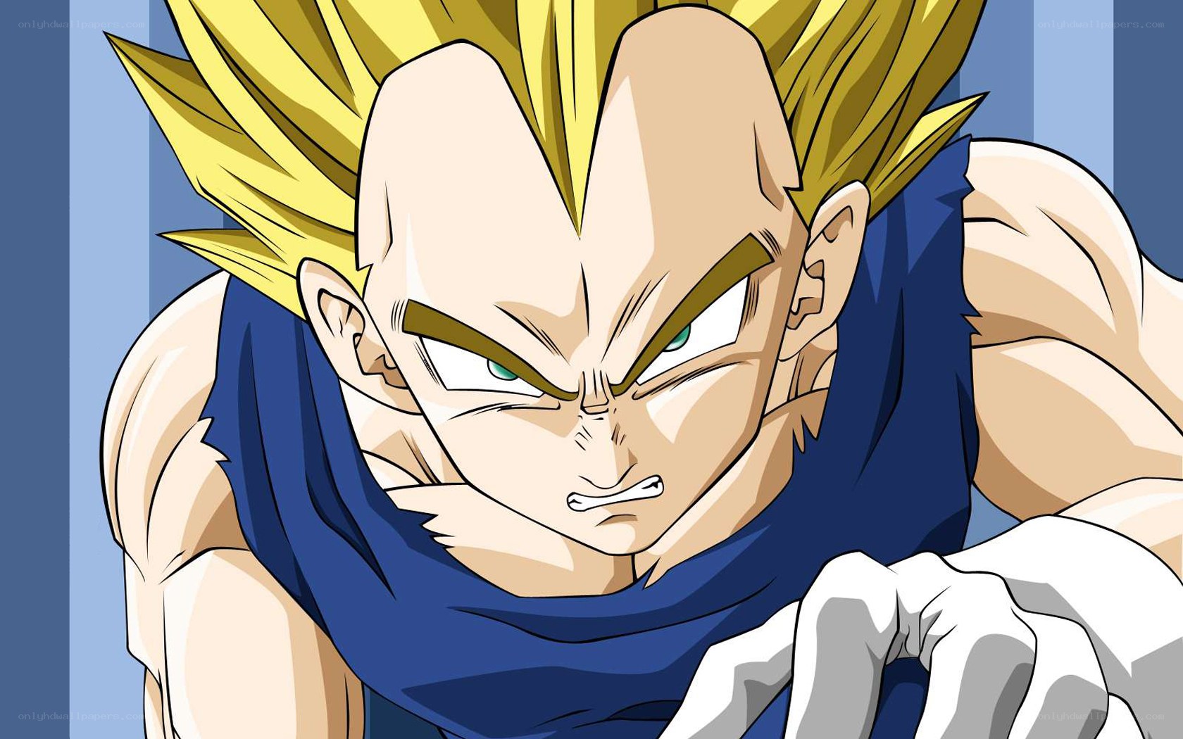 Vegeta in Super Saiyan form