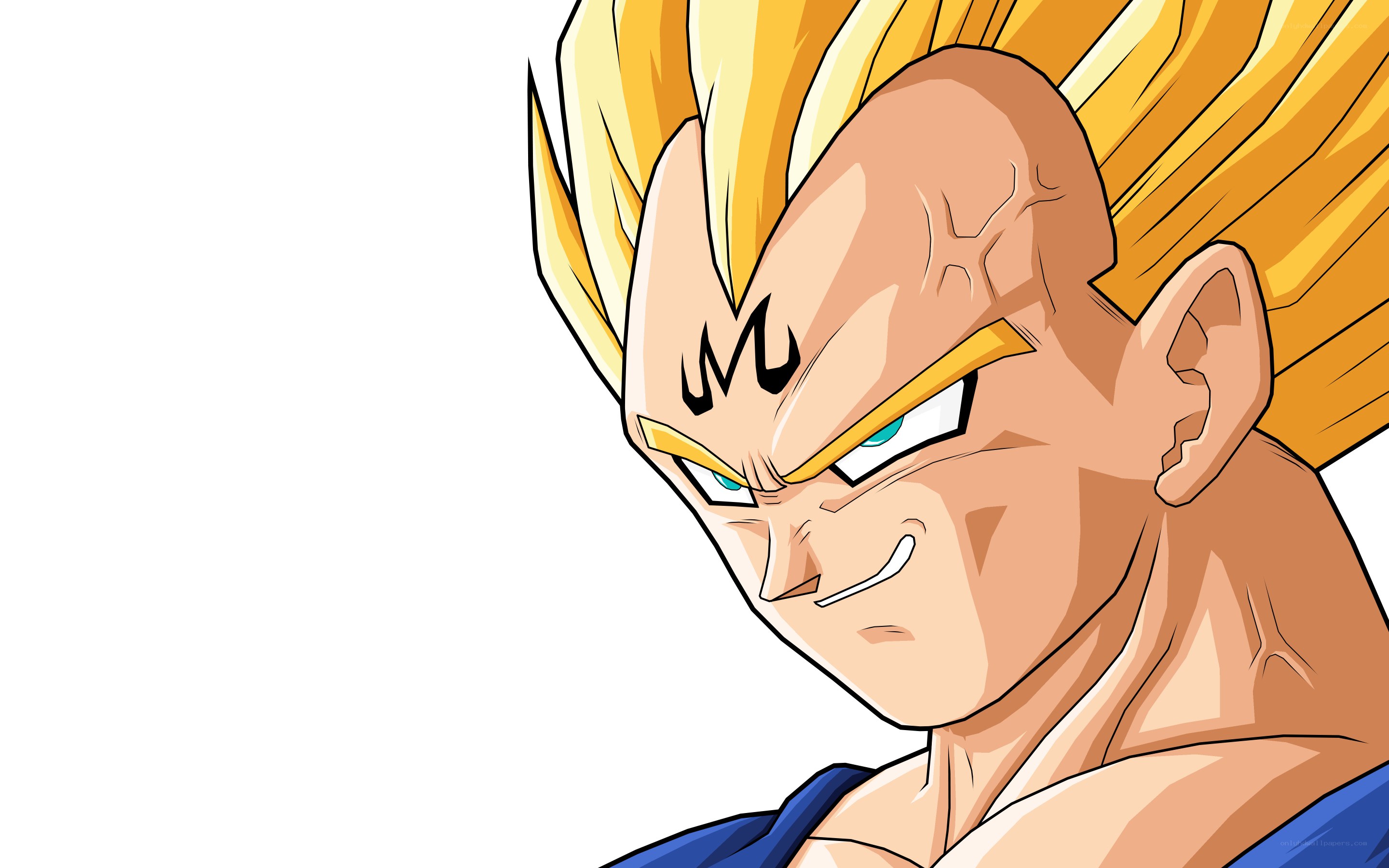 Vegeta in Super Saiyan form