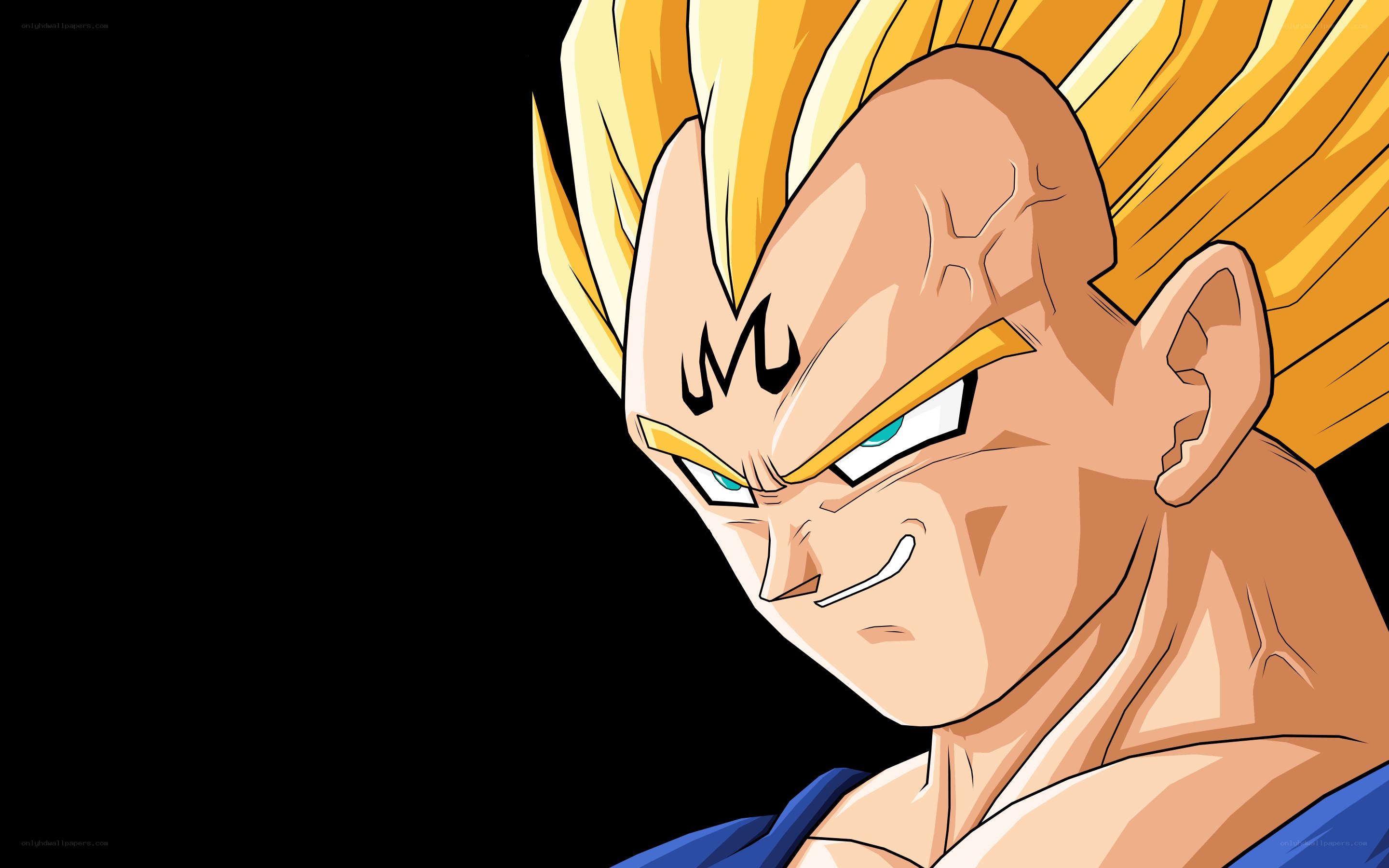 Vegeta in Super Saiyan form