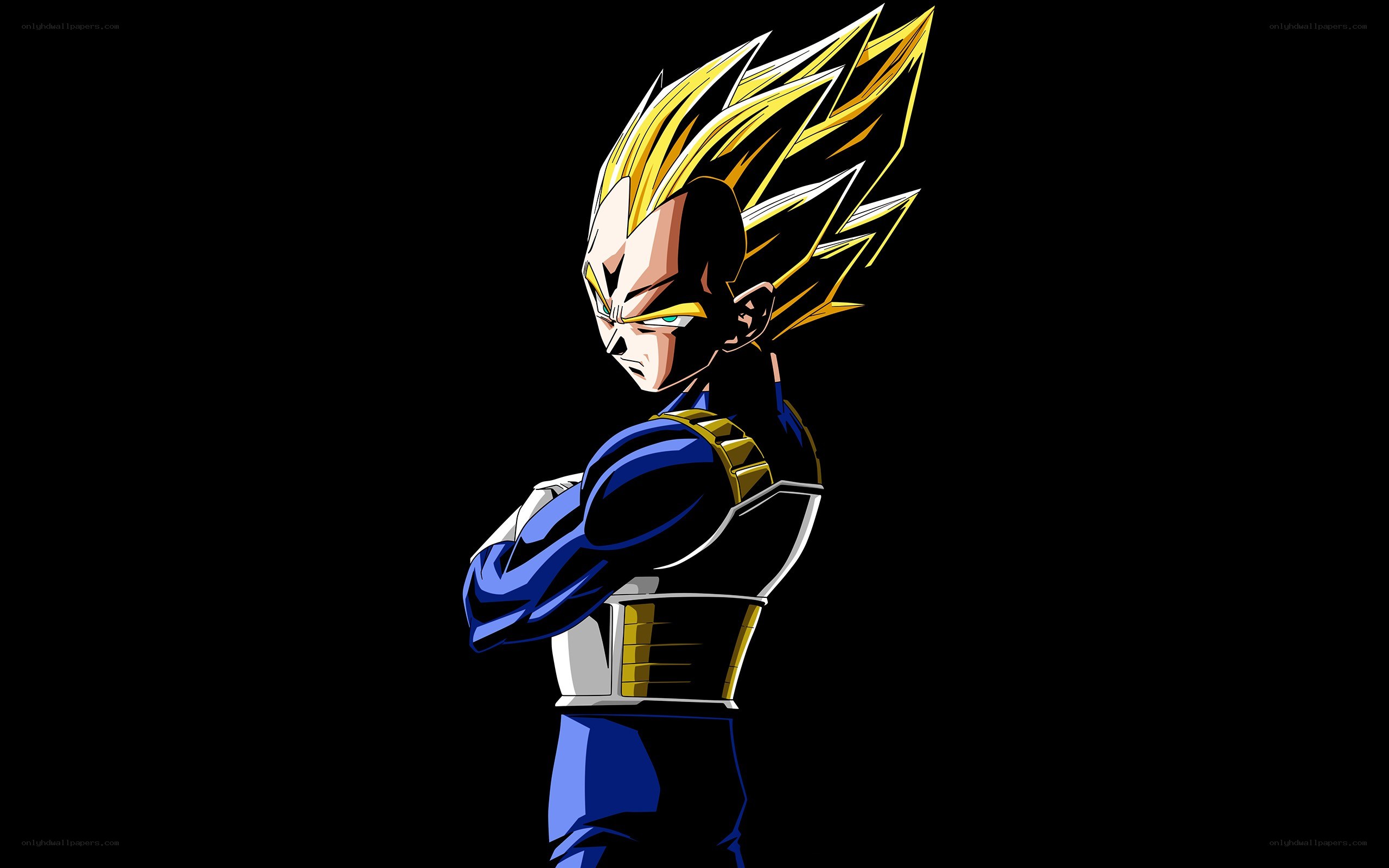 Vegeta in Super Saiyan form