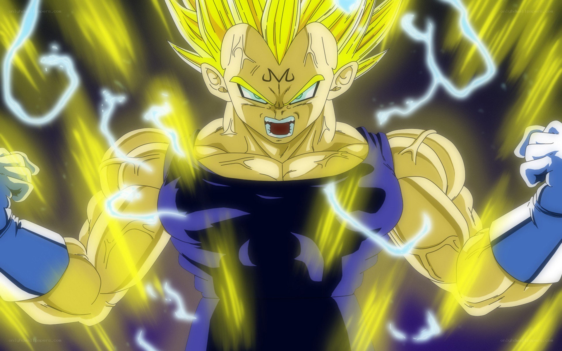 Vegeta in Super Saiyan form