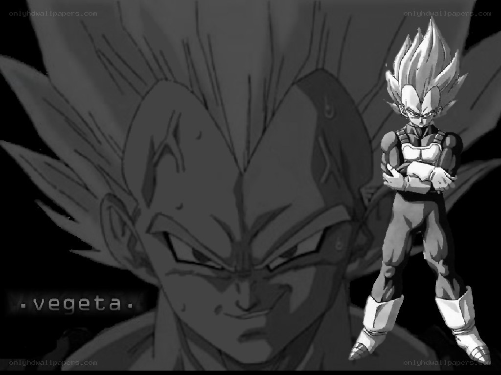 Vegeta in Super Saiyan form