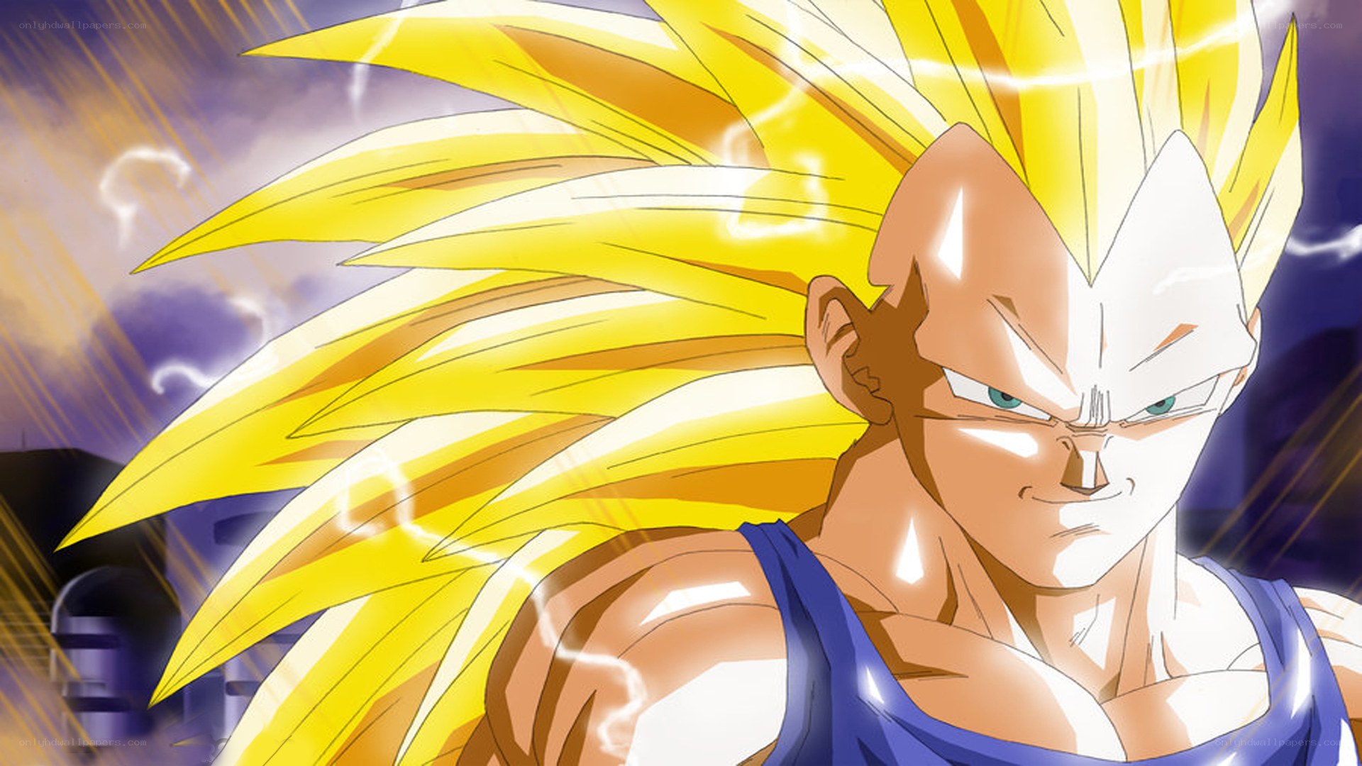 Vegeta in Super Saiyan form