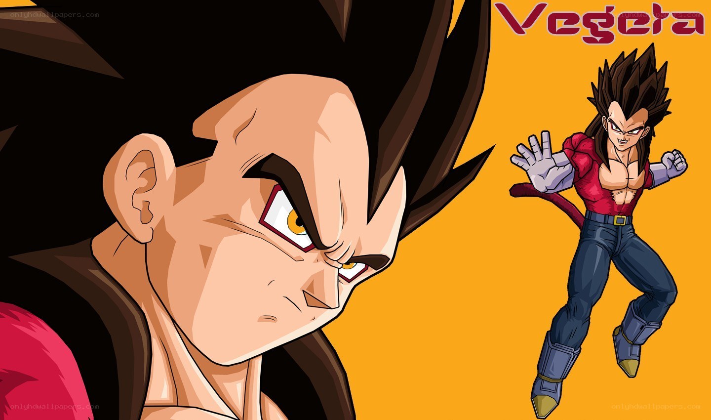 Vegeta in Super Saiyan form