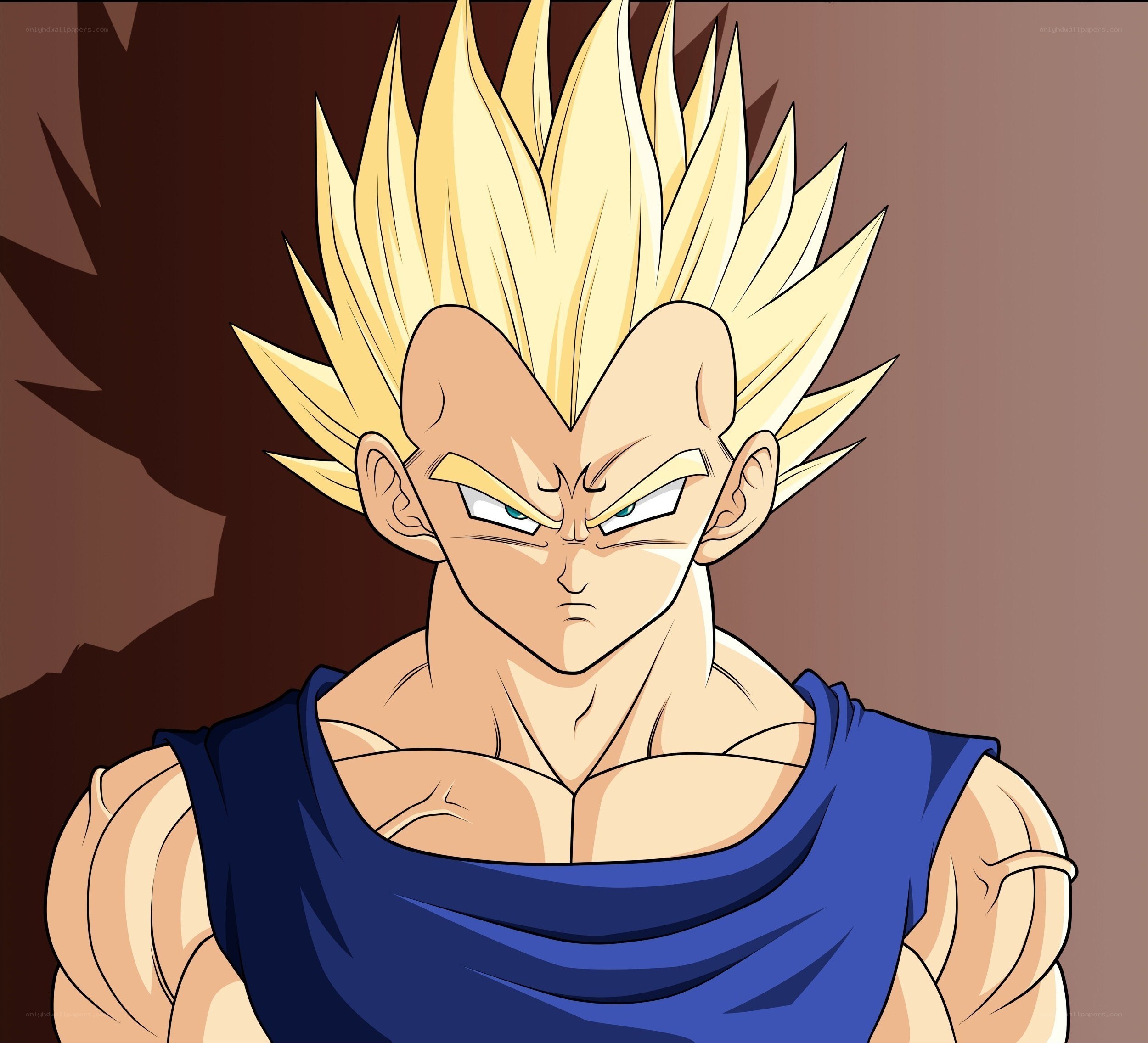 Vegeta in Super Saiyan form