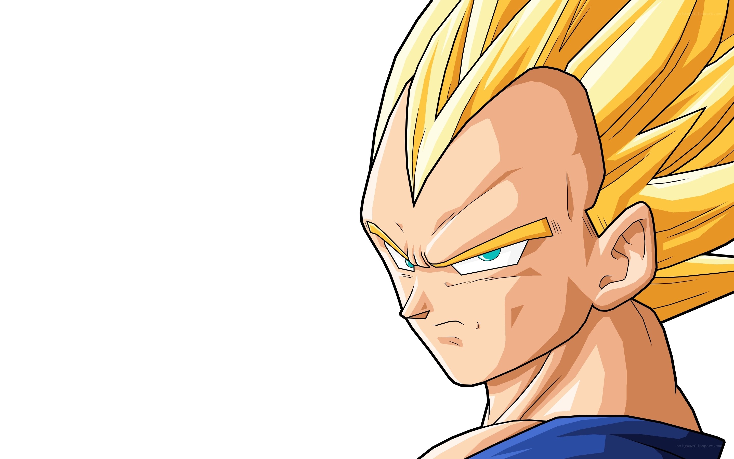 Vegeta in Super Saiyan form
