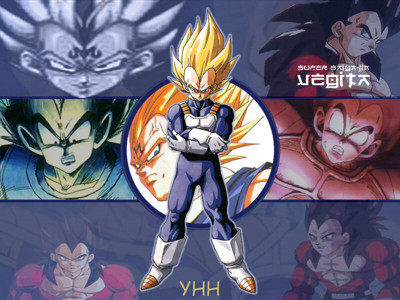 Vegeta in Various Forms — Blue