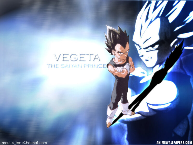 Vegeta the Saiyan Prince