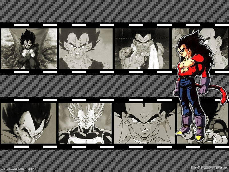 Vegeta transformation sequence